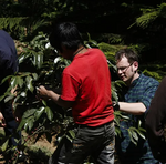 Sustainable agriculture project in Guatemala 