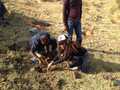 Tracing the Roots of International Voluntary Services In Southern Africa Victoria Fall, Pretoria and Semonkong