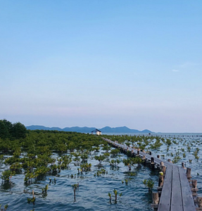 Trapaing Sangke Fishing Community (TFC)