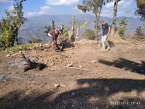 PERMACULTURE (SUSTAINABLE FOOD PRODUCTION)