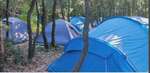Group Camp - ART&NATURE