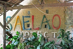 coordinator Roles SAE LAO Project