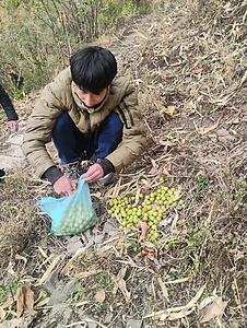 Natural Farming