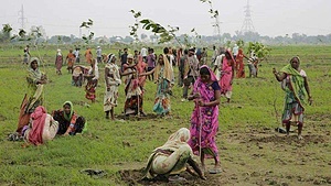 Global Voluntary Service to Stop Climate Change in India