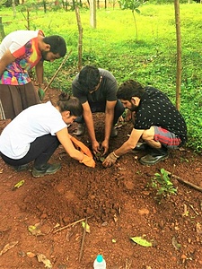 DOWN TO THE GRASS ROOTS