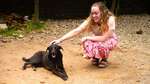 PEOPLE FOR ANIMALS ( MYSORE CITY)