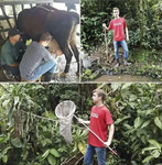 Environmental conservation project in Guatemala