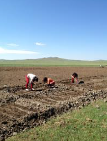 Greening Mongolia