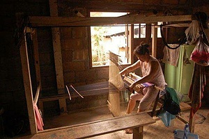 coordinator Roles SAE LAO Project