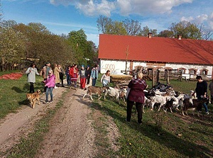 Biological Dimzeni Farm
