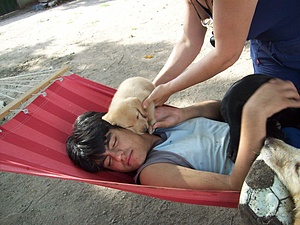 DOG THERAPY