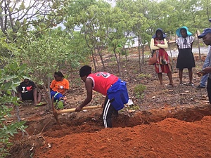Participatory Organic Research Extension and Training
