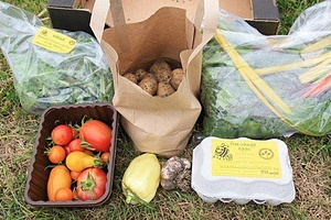 BOSAVERN FARM ( COMMUNITY GROWING - APRIL 2020