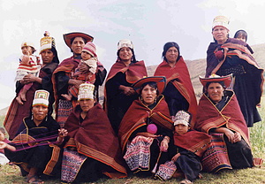 Asociación de Arte Indígena