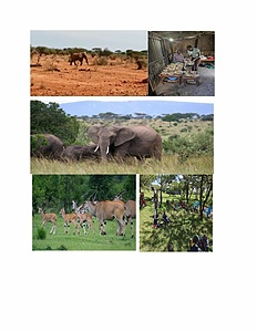 Oloisukut Group Conservancy