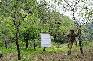 Summer camps in Algatocín (Málaga)