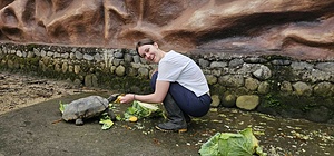 Zoorefugio Tarqui