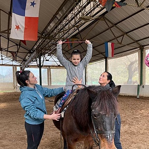 EQUINETHERAPY