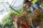 COMMUNITY  SUSTAINABLE LIFE IN HONG KONG
