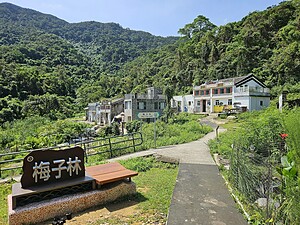 BLOOM BEYOND COFFEE: REVIVING VILLAGES