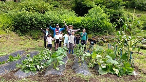 Ohara