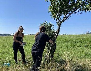 ESC: Collect Herbs and Make Tea in Bile Karpaty 2024