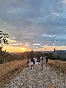 Fairy - Big researchers summer camp