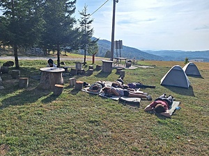 Fairy - Big researchers summer camp