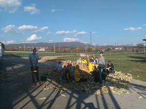 Together for community 2 (Zajedno za zajednicu 2)