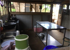 Turtle Conservacion in Buena Vista
