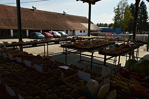 Together for community 2 (Zajedno za zajednicu 2)