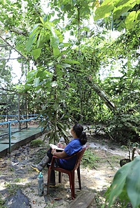 Conservation Intern in the Peruvian Amazon