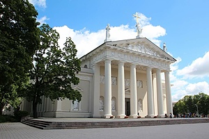 ESC: Volunteering at animal shelter “Lesė” in Vilnius