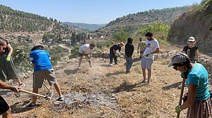 Voix de la résilience : Soutenir la détermination de la communauté palestinienne dans la vieille ville occupée d’Hébron