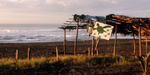Turtle and marine conservation project in Guatemala 