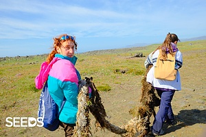 ENVIRONMENTAL AWARENESS