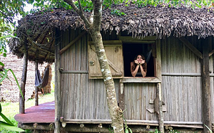 Agriculture et Permaculture
