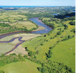 Nature recovery project in Devon 