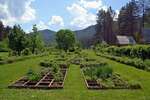 Botanical garden in mysterious Altai
