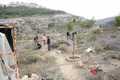 This is Palestine “Empowering the Commitment to World Heritage” WHV camp