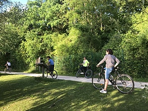 Solidarity Gardens