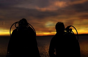 Marine Conservation Project