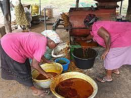 Train young girls and women/widows how to make beads, local slippers, batik making, etc.