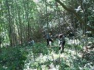 Ooda2 (Shimane)