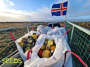 Environmentally Aware and trash Hunting in Reykjavík