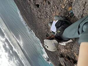 Conservation of the Loggerhead Sea Turtles - Nesting