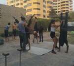 Performing Life – Fundación EnseñARTE