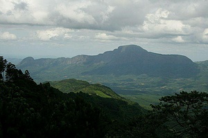 Fambidzanai Permaculture Centre