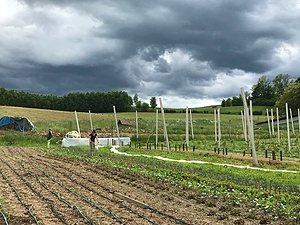 Organic Farm Warriors CES/SVE