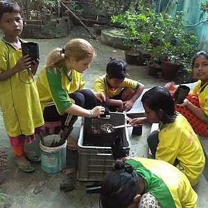 URBAN ORGANIC FARMING AND NURSERY DEVELOPMENT WORK